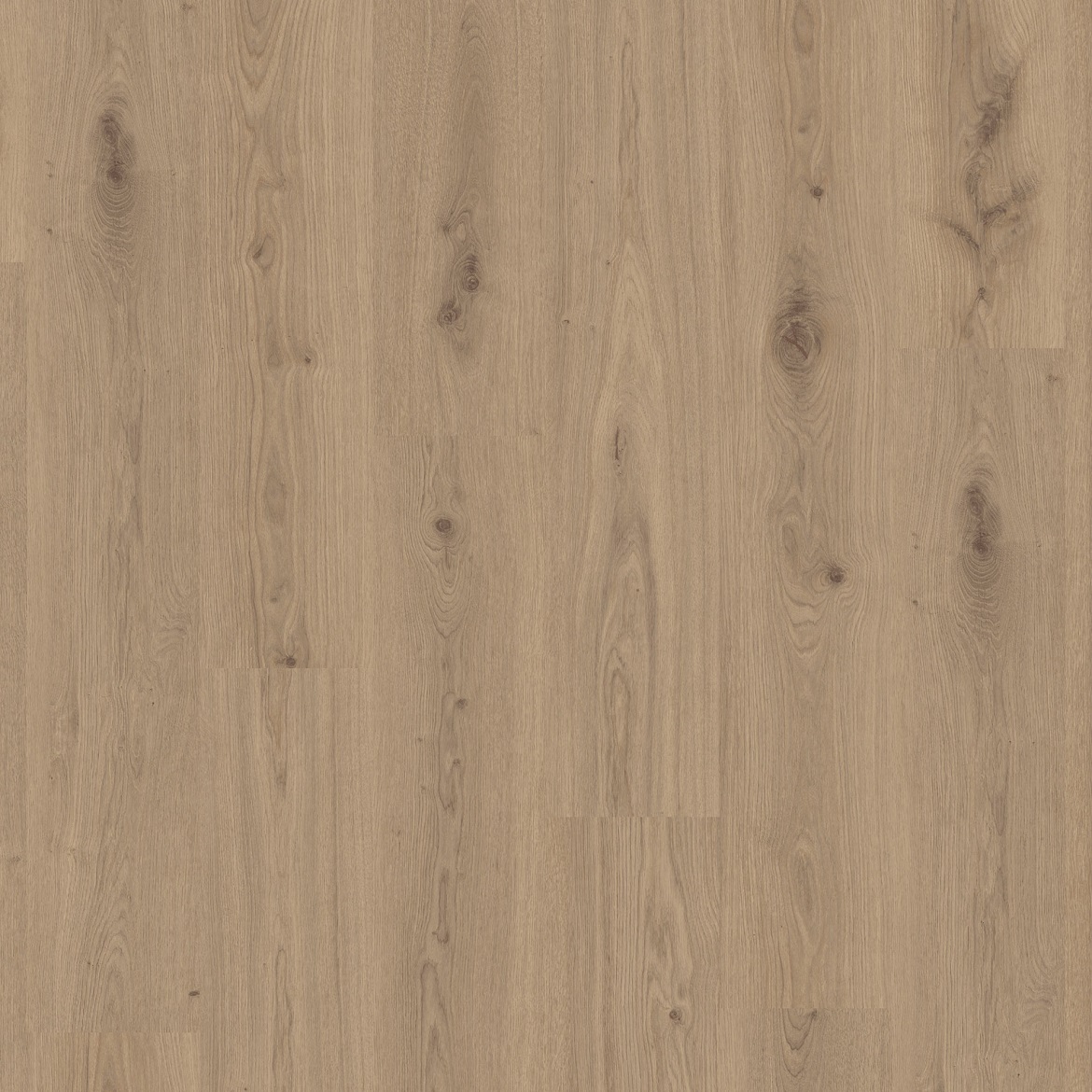 Vinylboden LVT Delicate Oak Chesnut 5mm 0,55mm Starfloor 55