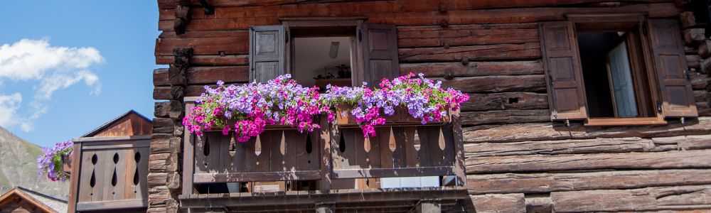 Halter und Blumenkisten - eBaumax.de